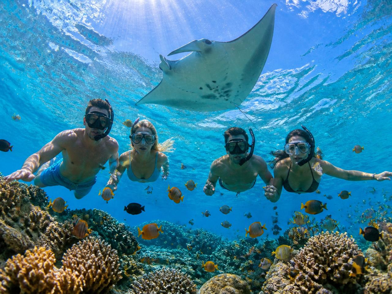 Snorkelling with manta rays